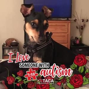 Meet your Posher, Robin